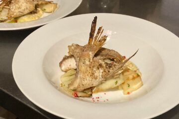 大人気コース!!お手軽アラカルトコース!!